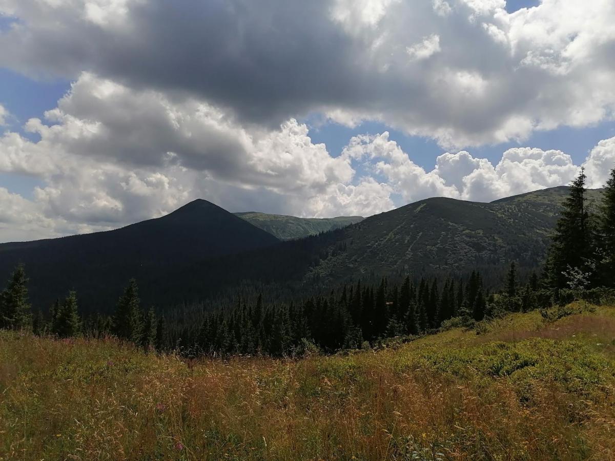 Котедж Віадук Vorochta Buitenkant foto