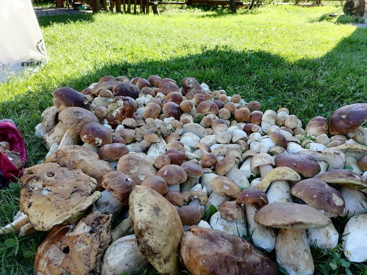 Котедж Віадук Vorochta Buitenkant foto